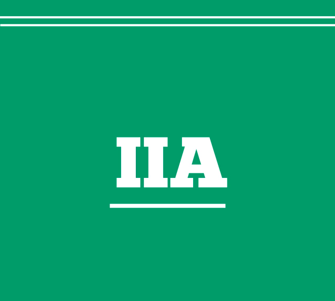 Institute of Internal Auditors (IIA)