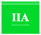 Institute of Internal Auditors (IIA)